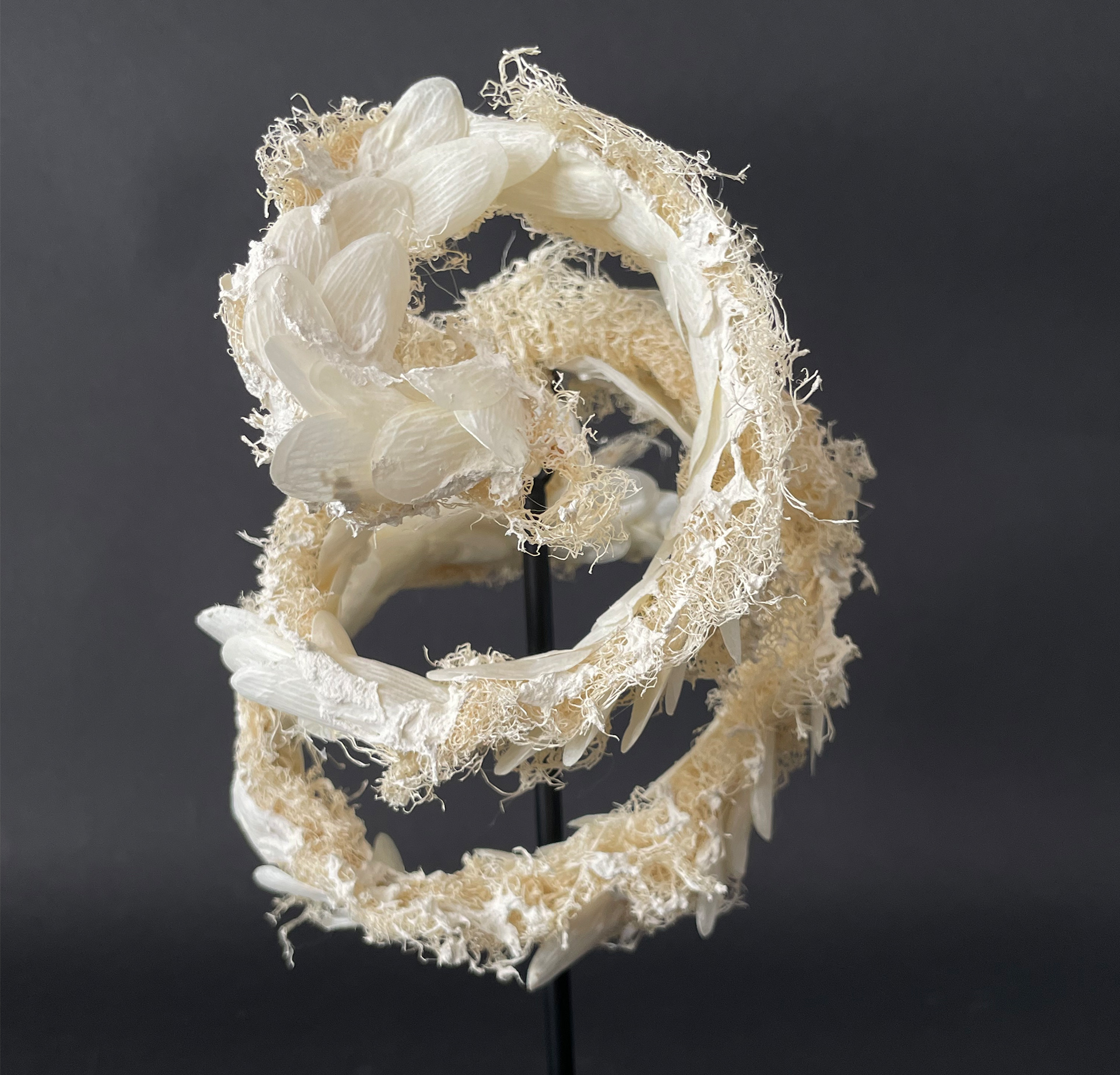 La vague de Stéphane Buyens artiste papier