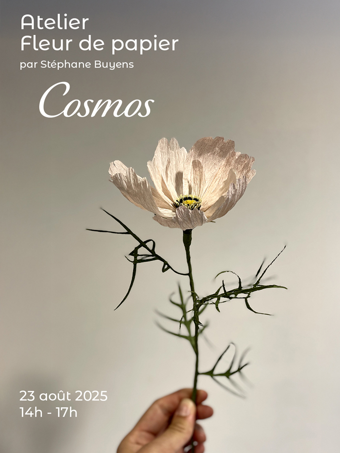 Atelier Fleur de papier avec la fleur Cosmos par Stéphane Buyens