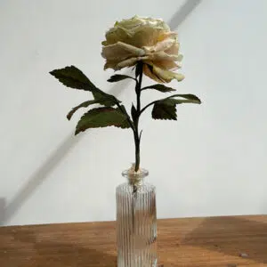 Atelier - 10 octobre 2026 - Rose hybride