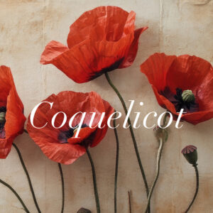 Coquelicot Fleur de papier par Stéphane Buyens