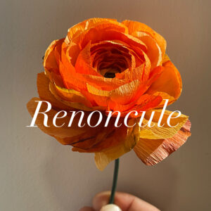 renoncule, fleur de papier à l'atelier Stéphane Buyens